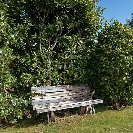 Camelia - Golf Nearby Chalet